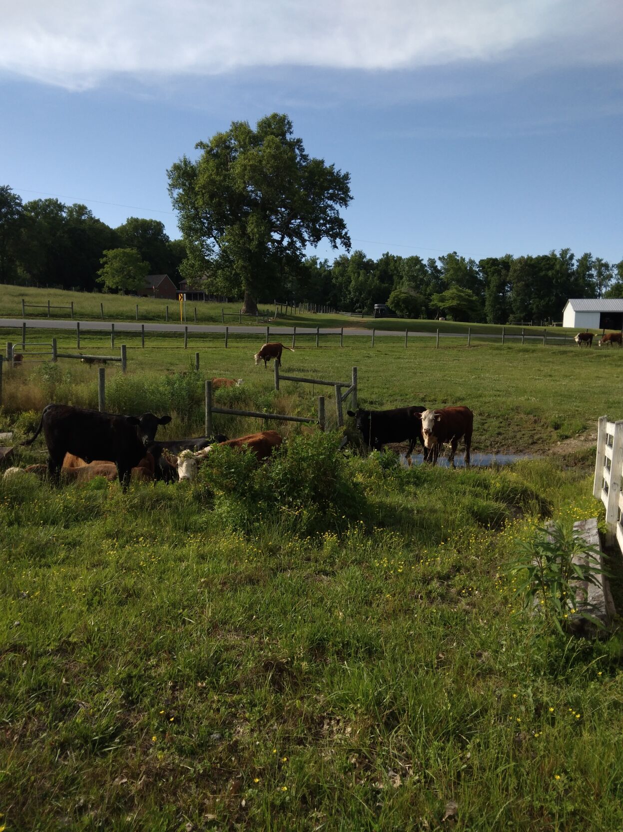 Delap Farm 8.jpg